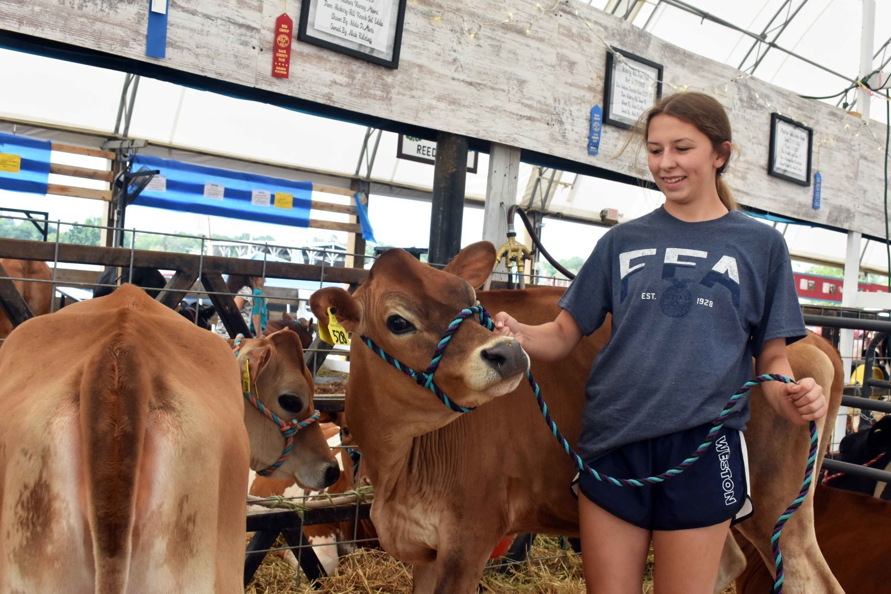 Sauk County Fair
